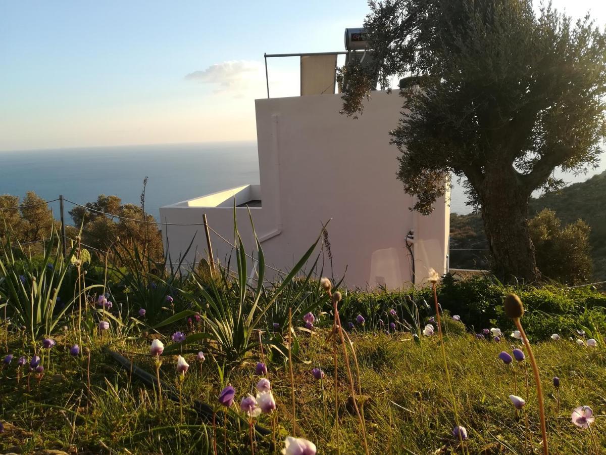 Sea Breeze Ecological Villa Agia Galini  Ngoại thất bức ảnh